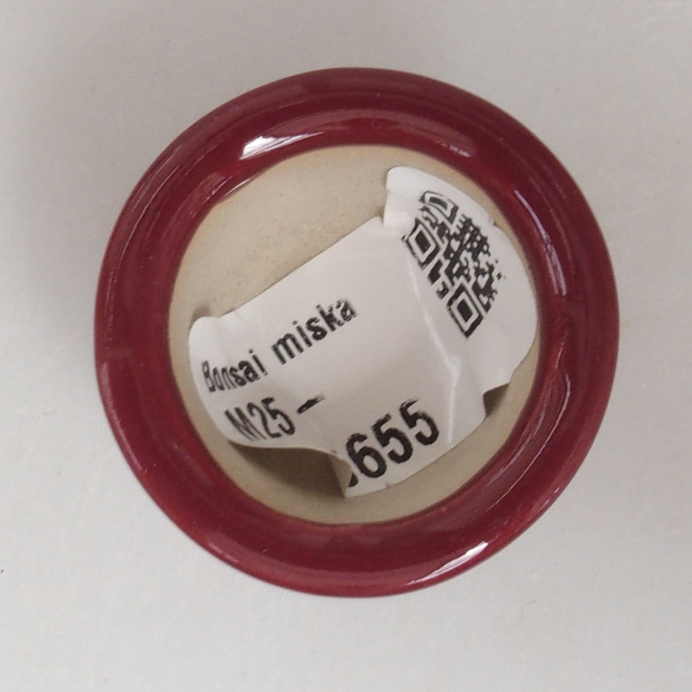 Mini bonsai bowl 3,5 x 3,5 x 2,5 cm, color burgundy