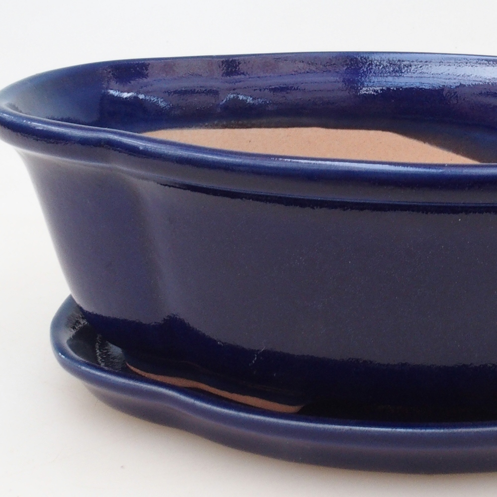 Bonsai bowl + saucer H75 - blue