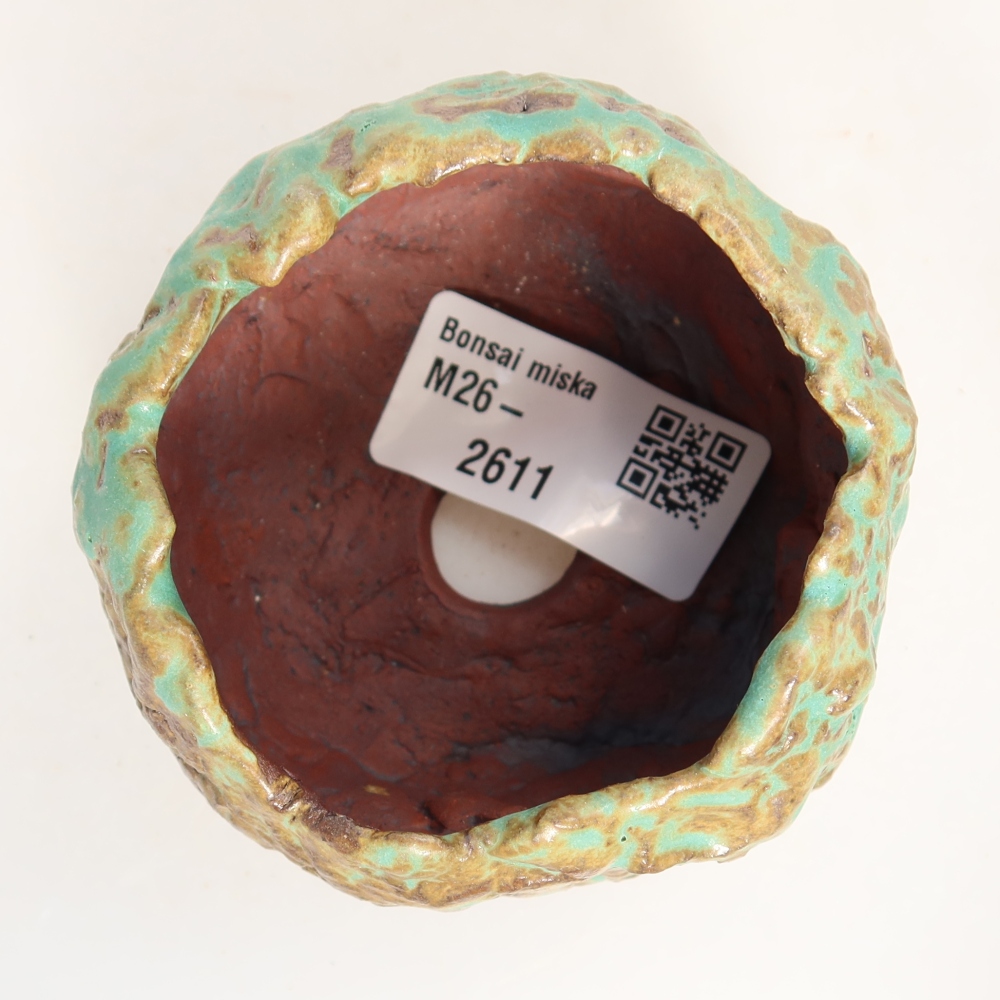 Ceramic Shell, 7 x 7 x 5.5 cm, green