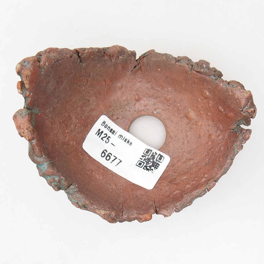 Ceramic shell 10 x 8 x 6 cm , colour green