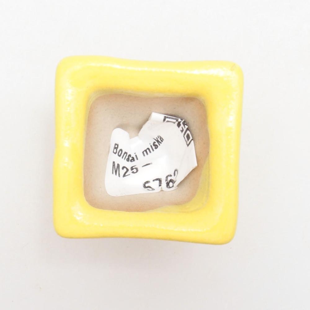 Ceramic bonsai bowl 3,5 x 3,5 x 3 cm, yellow