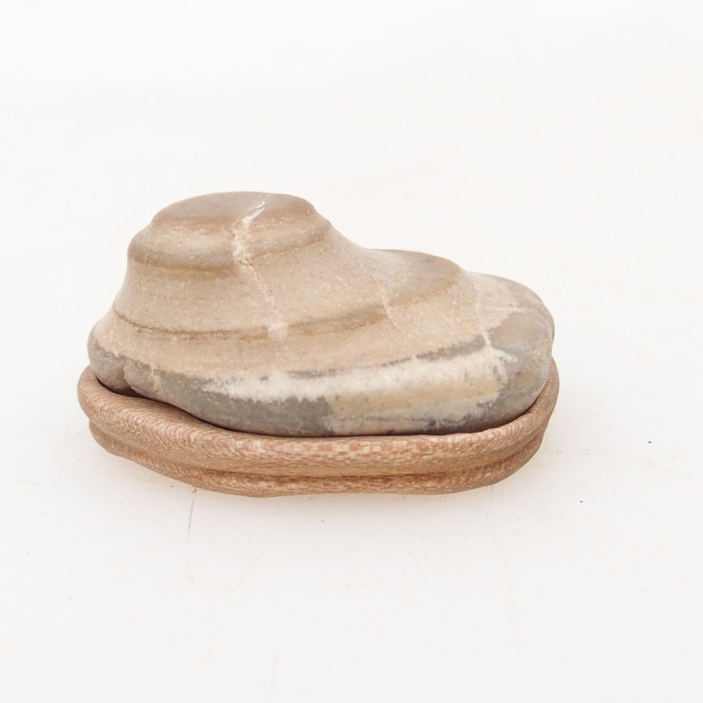 Suiseki - Stone with DAI (wooden pad)