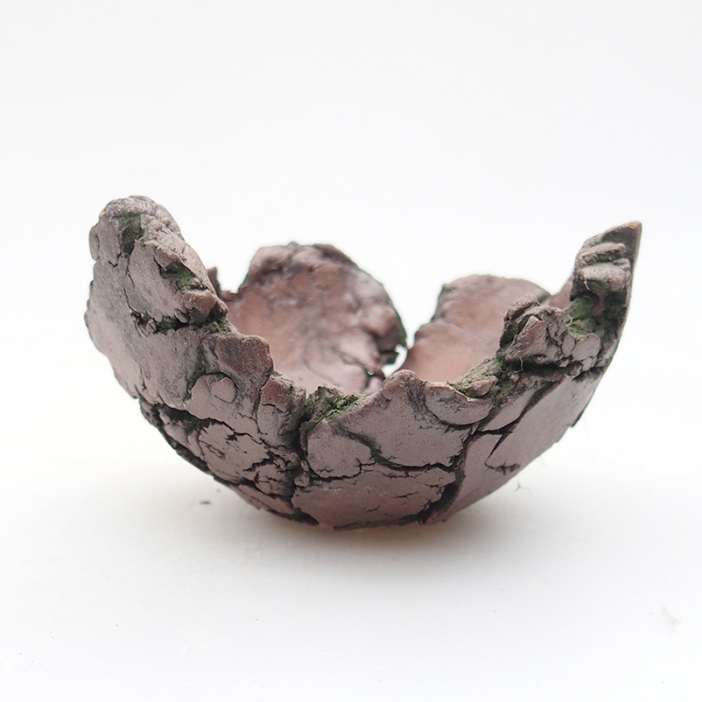 Ceramic Shell 8 x 7,5 x 4,5 cm , green color