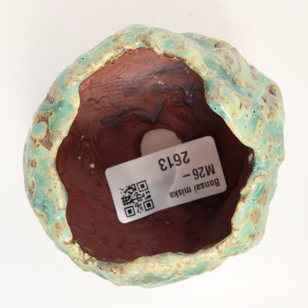 Ceramic Shell, 7 x 7 x 6 cm, green