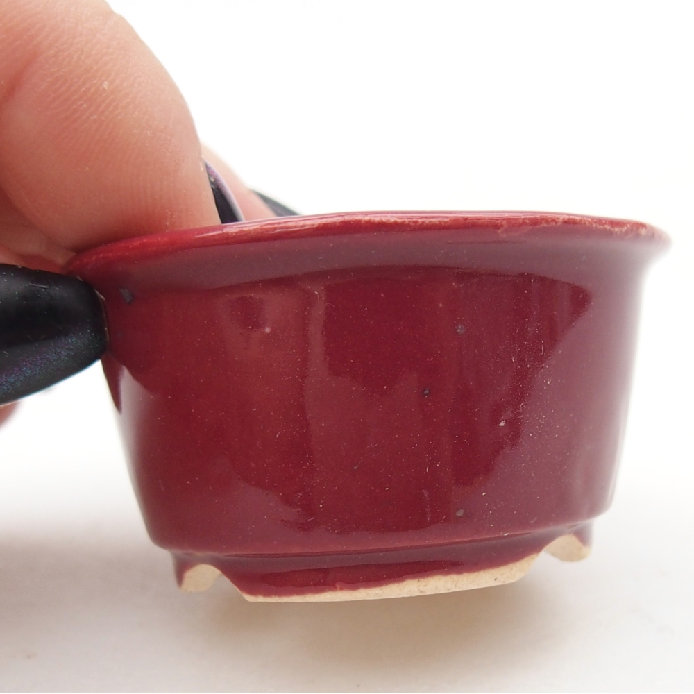 Mini bonsai bowl 4,5 x 4,5 x 2,5 cm, burgundy