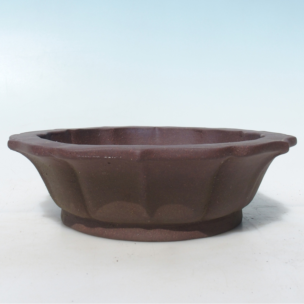 Bonsai bowl 24 x 24 x 7 cm birch brown