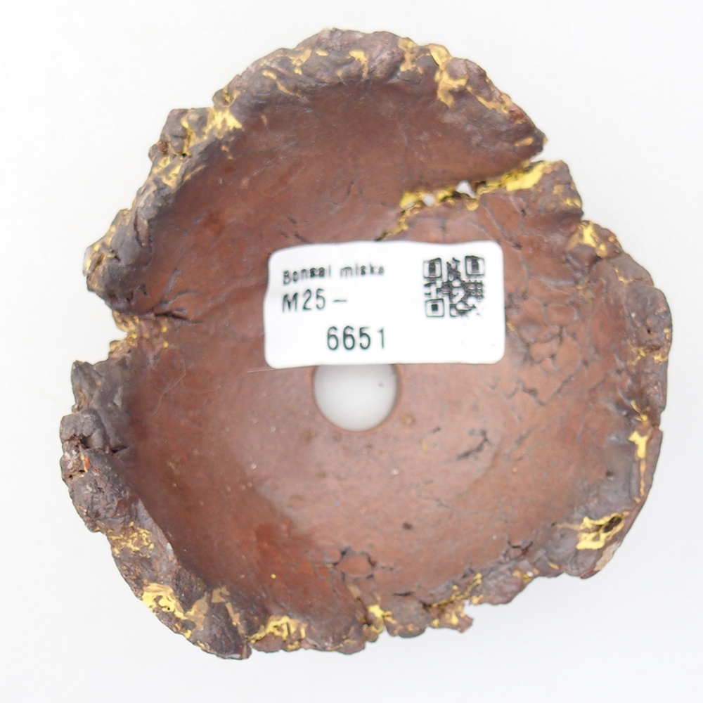 Ceramic Shell 9 x 9 x 5 cm , yellow