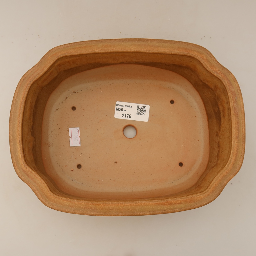 Ceramic bonsai pot, 22.5 x 17.5 x 7.5 cm, beige