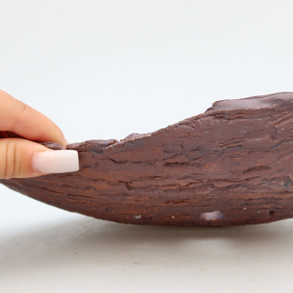 Ceramic Shell  30.5 x 19 x 6 cm, brown