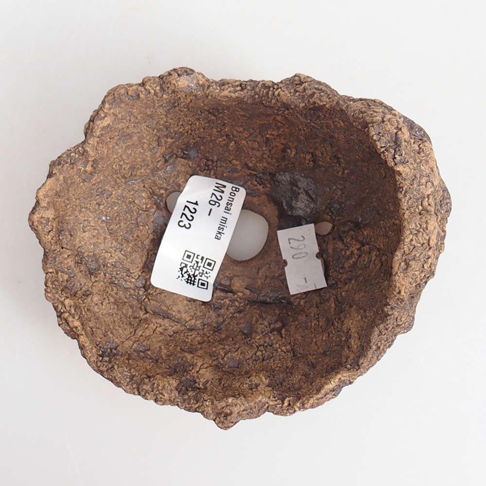 Ceramic Shell 10 x 8 x 9 cm , colour brown