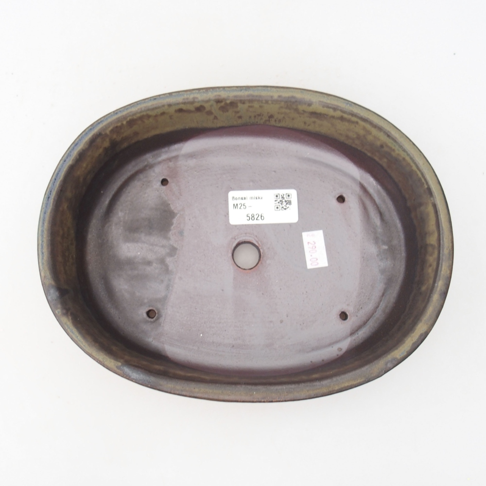 Ceramic bonsai bowl 22 x 17 x 5 cm, color brown