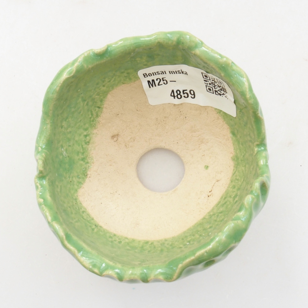 Ceramic shell 7 x 7 x 5 cm, color green
