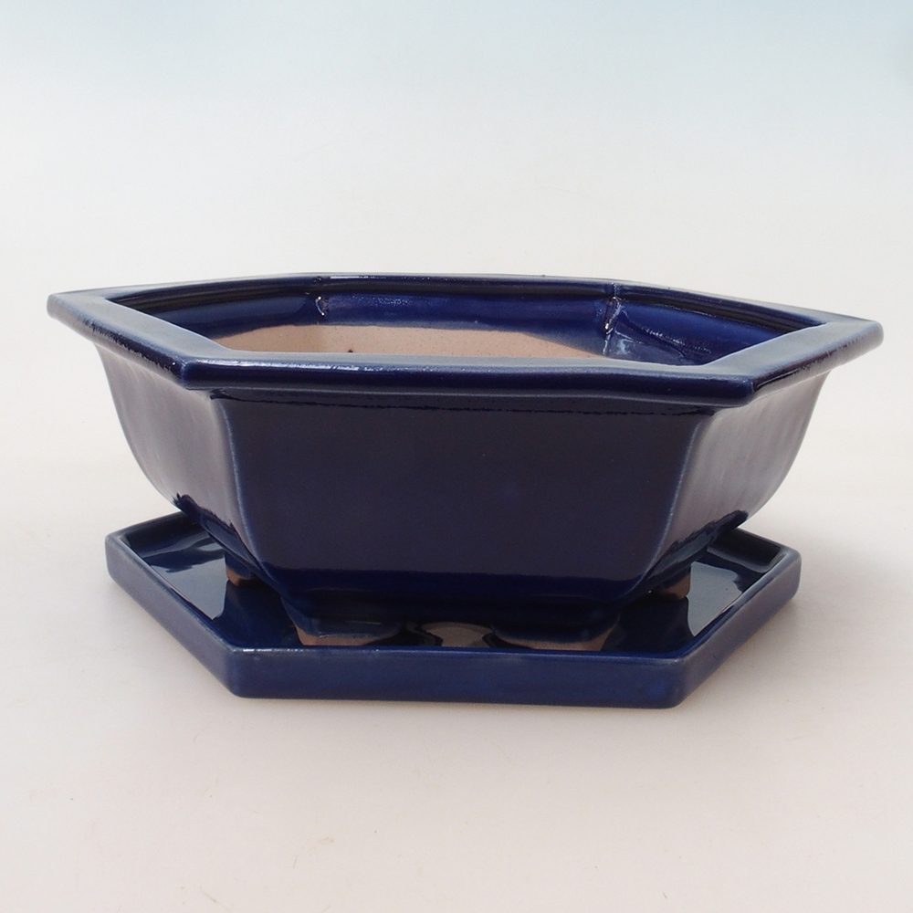 Bonsai pot + saucer H53 - 19 x 21.5 x 7 cm. - blue
