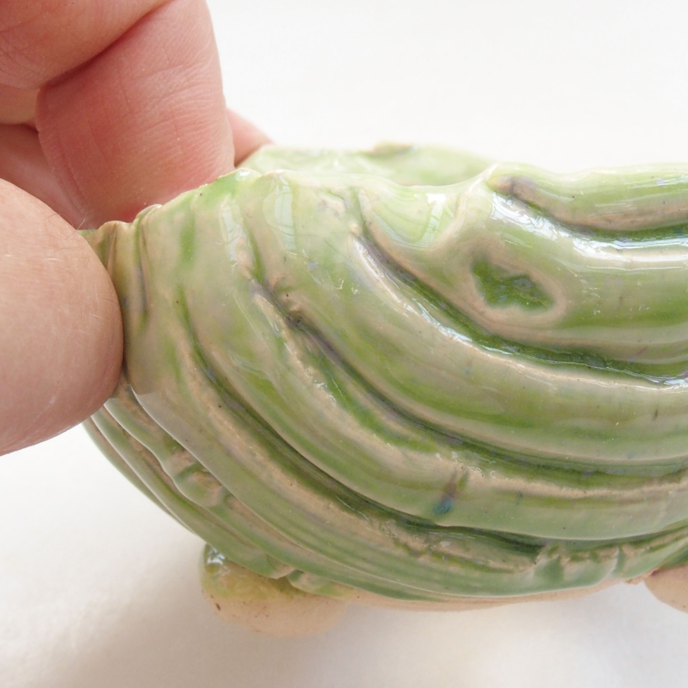 Ceramic shell 7.5 x 7.5 x 5 cm, color green