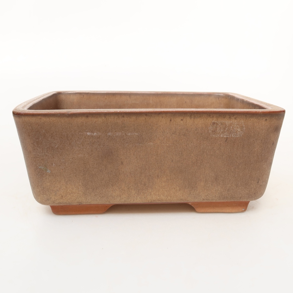 Ceramic Shell  19.5 x 15 x 8.5 cm, brown
