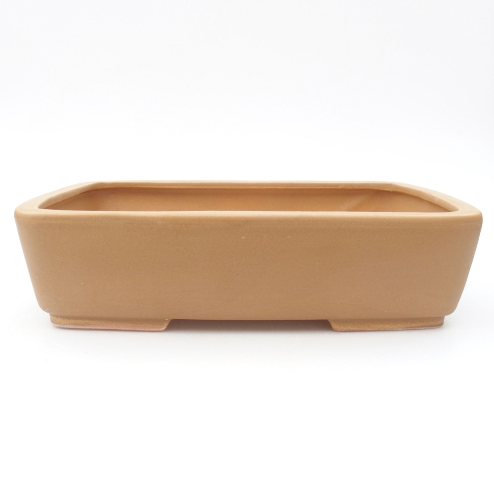 Ceramic bonsai bowl 27 x 20,5 x 7 cm, color beige