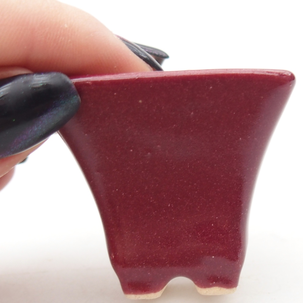 Mini bonsai bowl 4 x 4 x 3,5 cm, burgundy