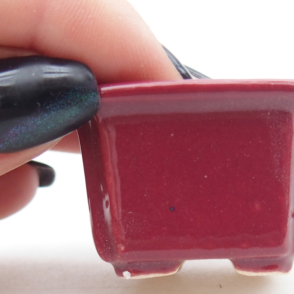 Mini bonsai bowl 3,5 x 3,5 x 2 cm, burgundy