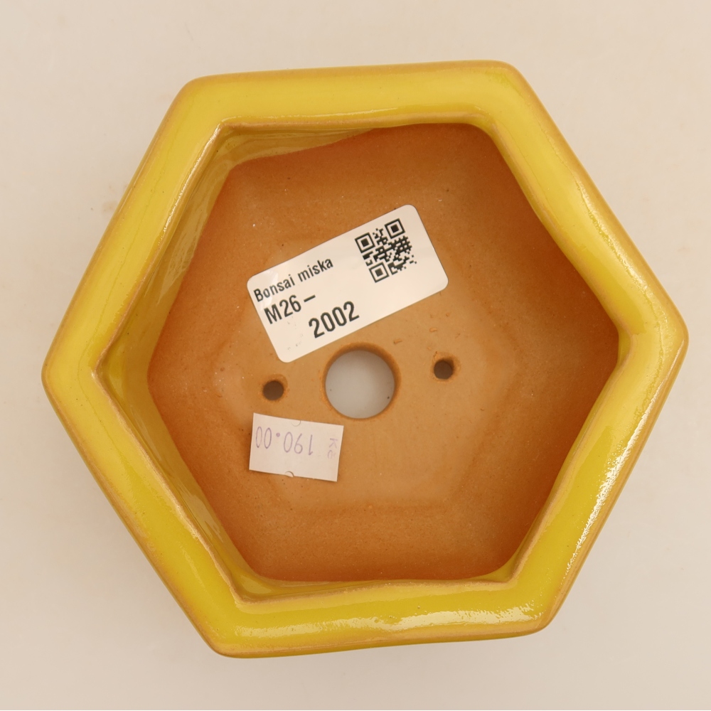Ceramic bonsai pot, 12 x 10.5 x 4 cm, yellow