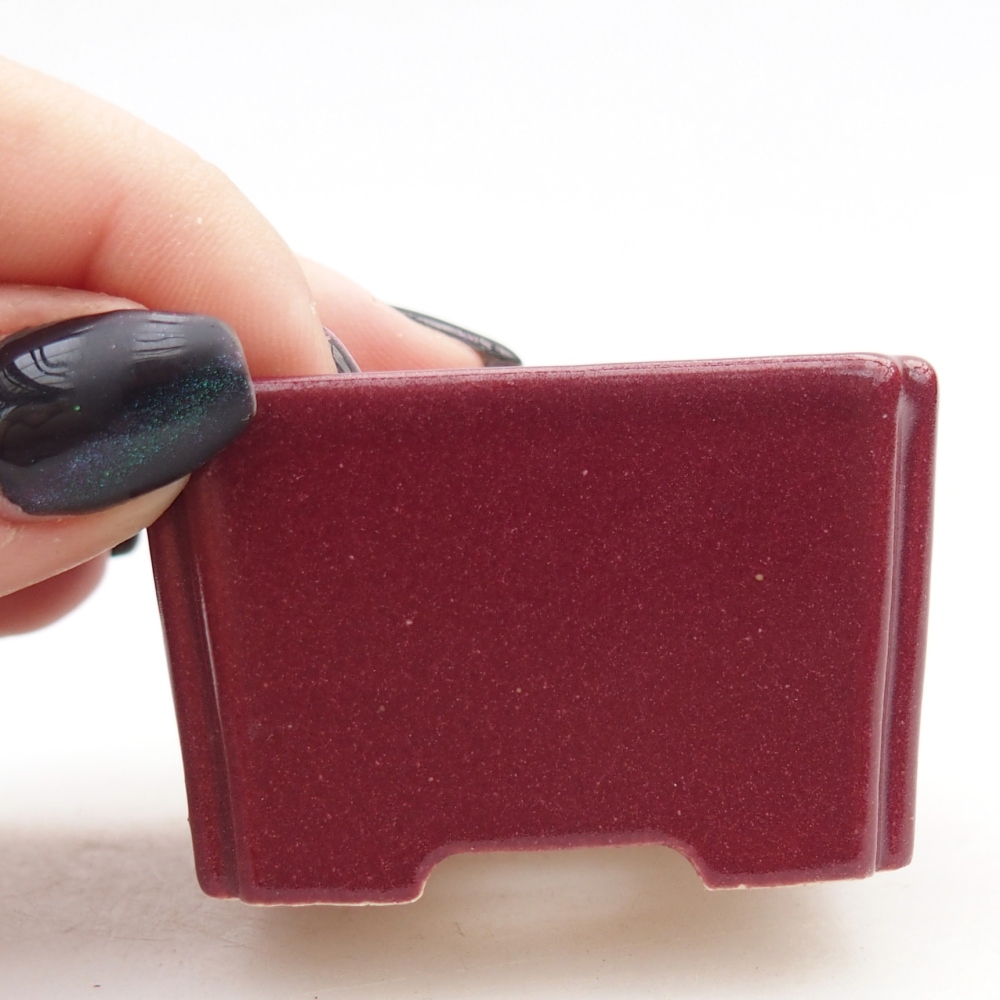 Mini bonsai bowl 5 x 5 x 3 cm, burgundy