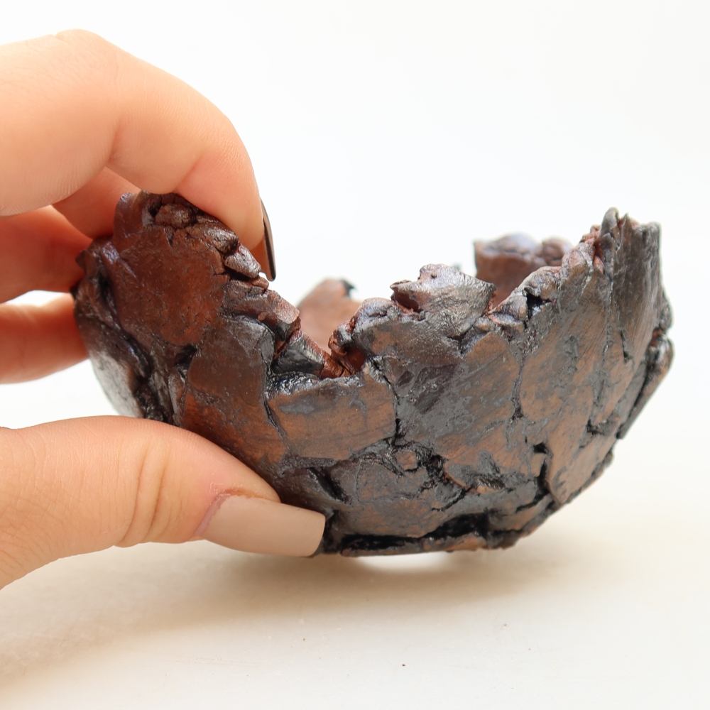 Ceramic Shell, 11 x 11 x 7 cm, brown