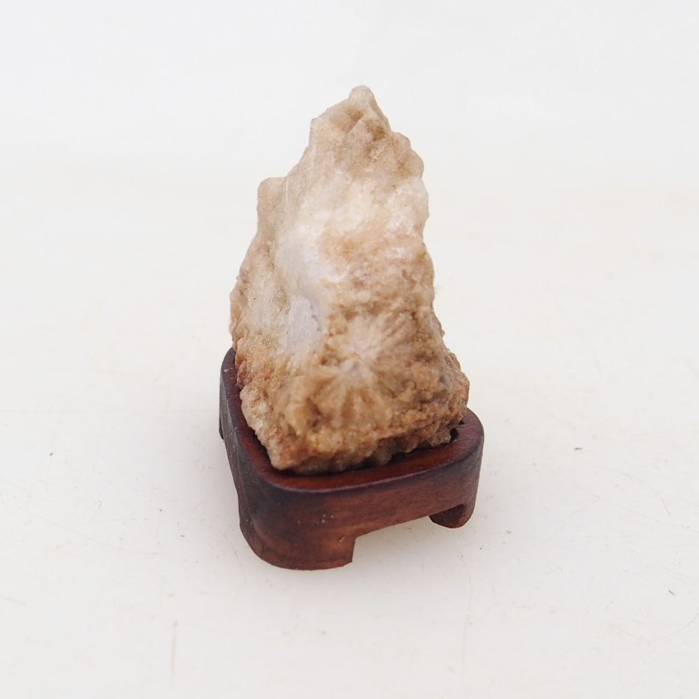 Suiseki - Stone with DAI (wooden pad)