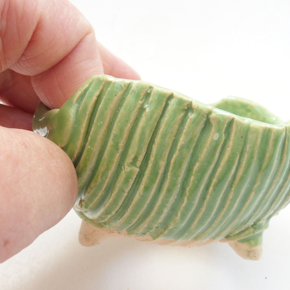 Ceramic shell 7,5 x 7 x 4,5 cm, color green