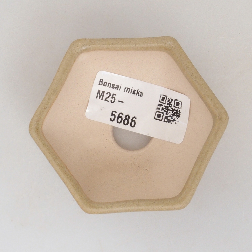Mini bonsai bowl 6,5 x 6 x 2,5 cm, color brown