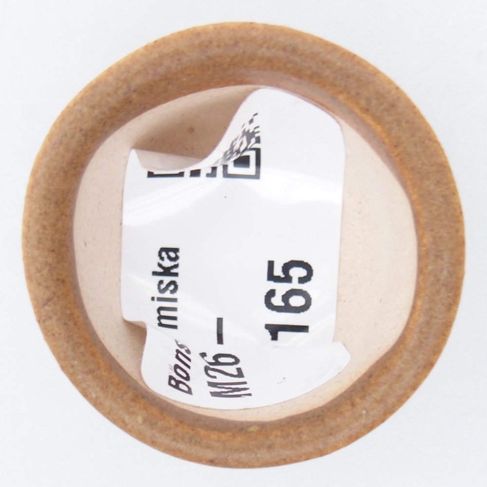 Mini bonsai bowl 4 x 4 x 2 cm, brown