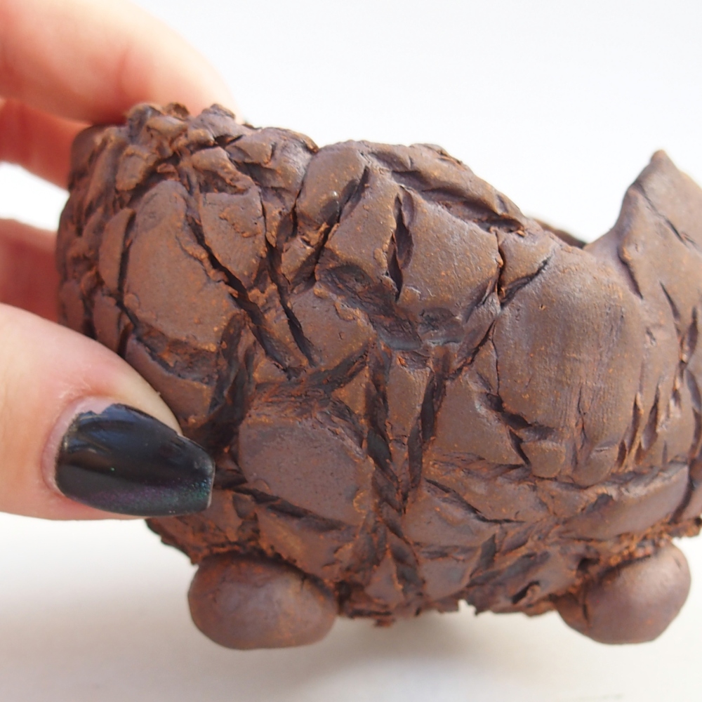 Ceramic Shell 8,5 x 8,5 x 6 cm , colour brown