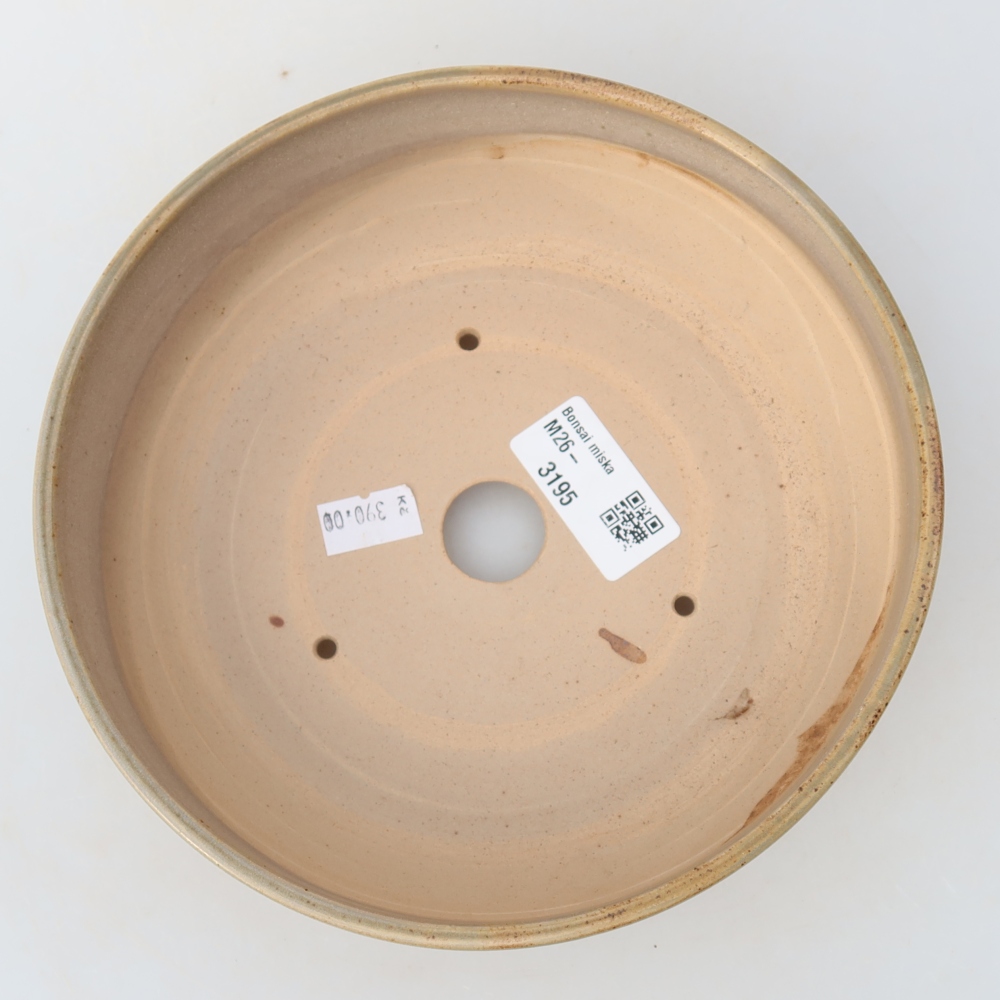 Ceramic bonsai pot, 17.5 x 17.5 x 6 cm, beige