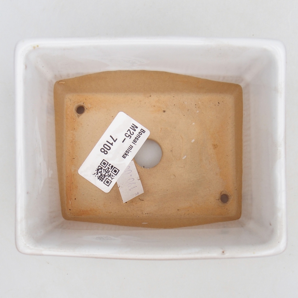 Ceramic bonsai bowl 11,5 x 9,5 x 6 cm, white