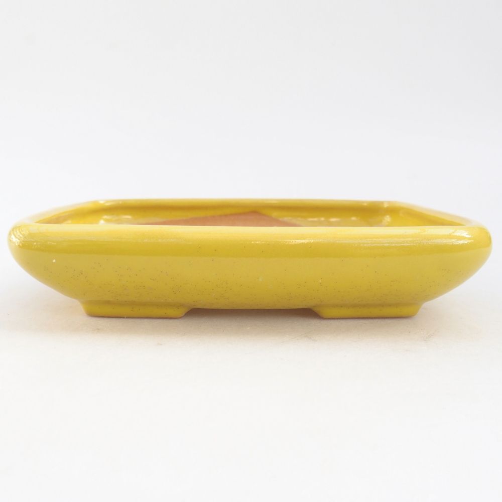 Ceramic bonsai bowl 16,5 x 13,5 x 3,5 cm, yellow