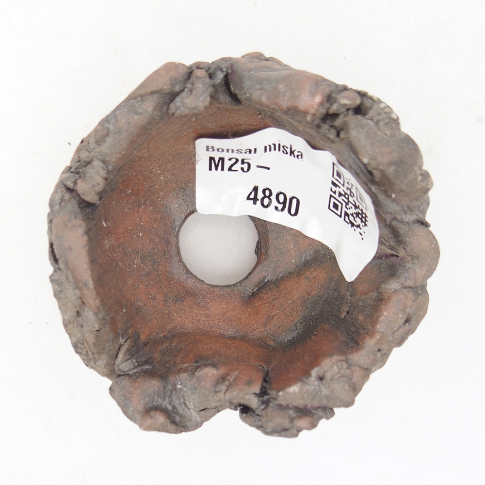 Ceramic shell 6 x 6 x 4 cm, color brown