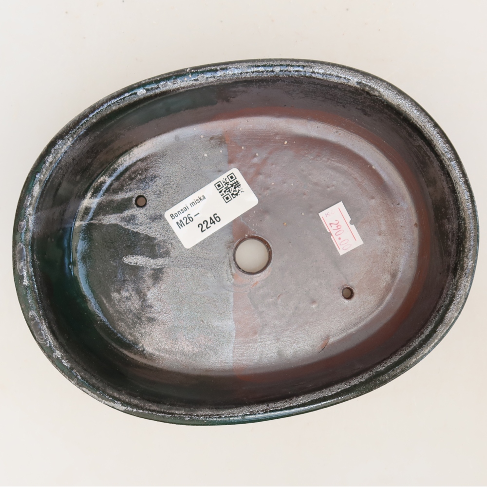 Ceramic bonsai pot, 19 x 14.5 x 5 cm, green