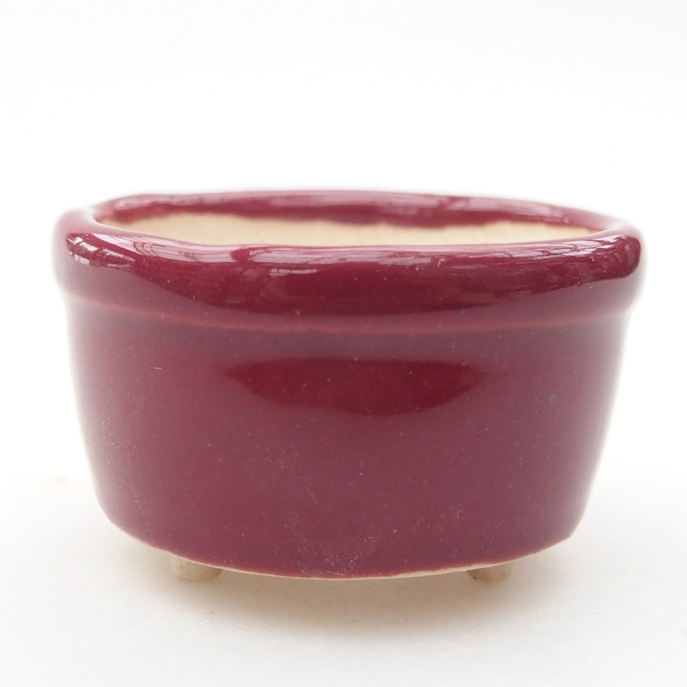 Mini bonsai bowl 4 x 4 x 2 cm, burgundy