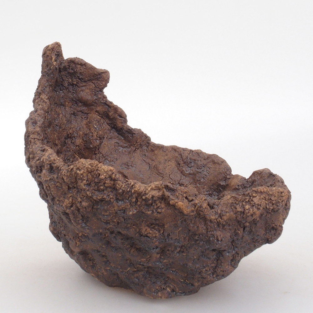 Ceramic shell 13,5 x 12 x 13,5 cm, brown color