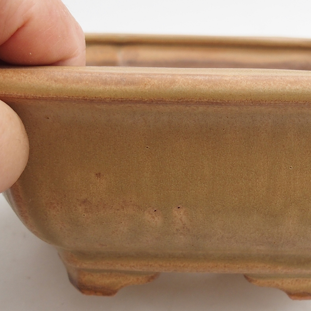Ceramic bonsai bowl 23 x 21 x 7,5 cm, colour beige