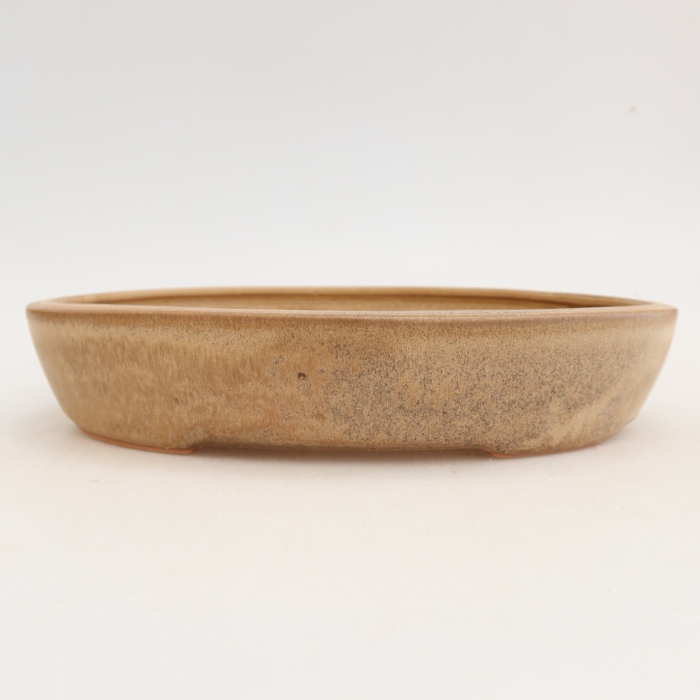 Ceramic bonsai pot, 22 x 17 x 4 cm, beige