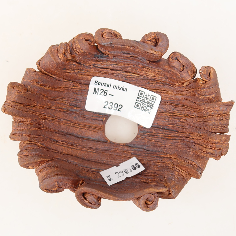 Ceramic Shell  11 x 8.5 x 5 cm, brown