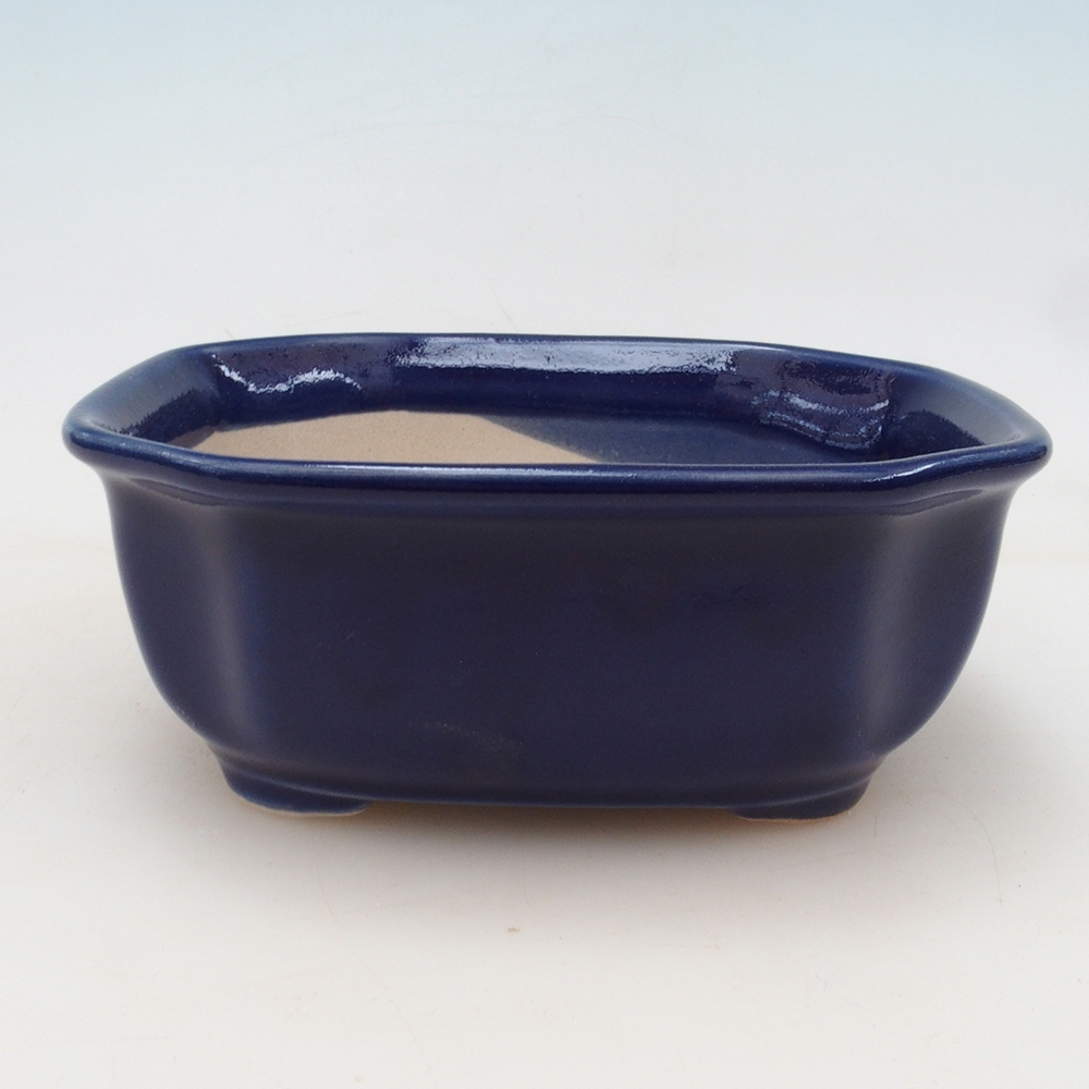 Bonsai bowl + saucer H31 - blue