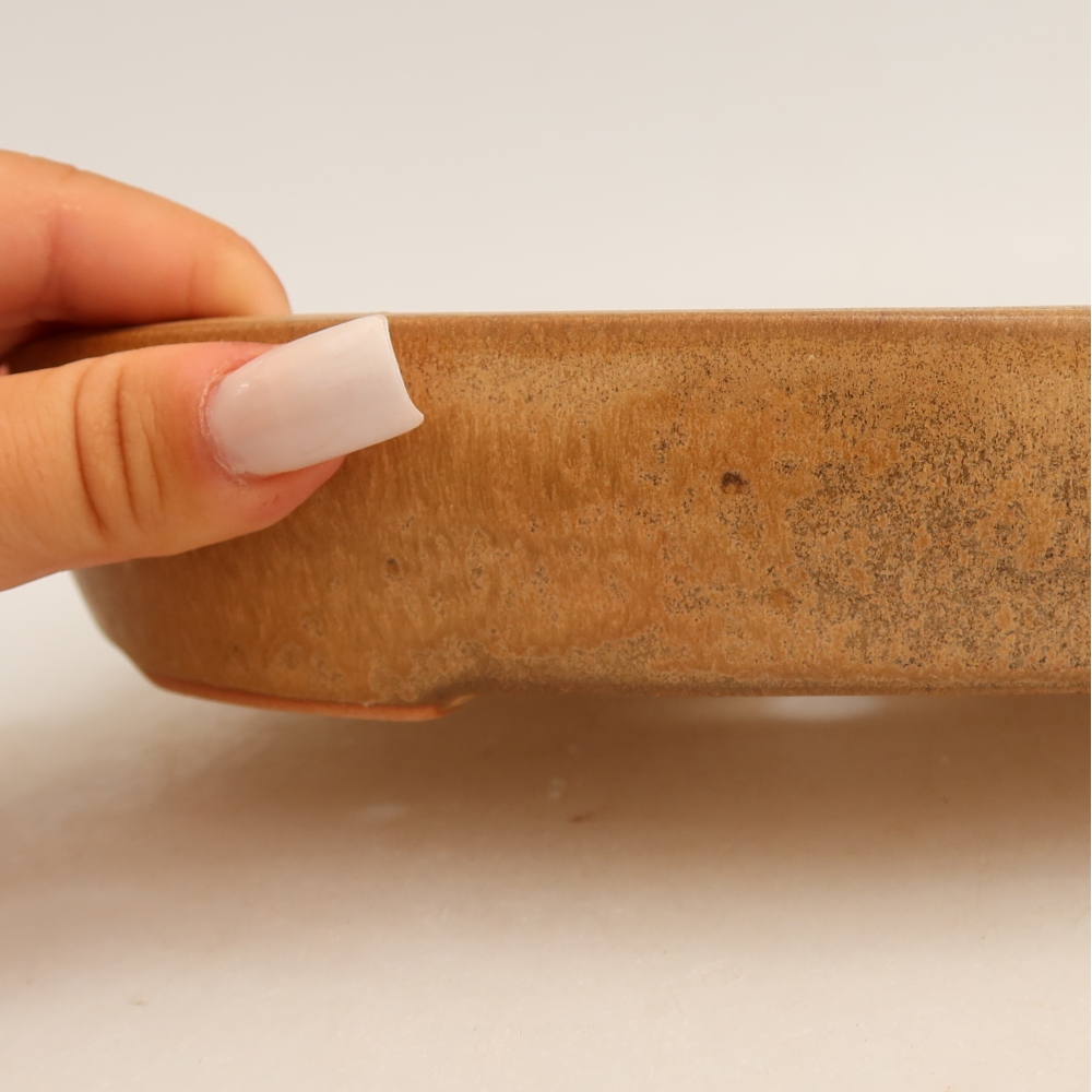 Ceramic bonsai pot, 22 x 17 x 4 cm, beige