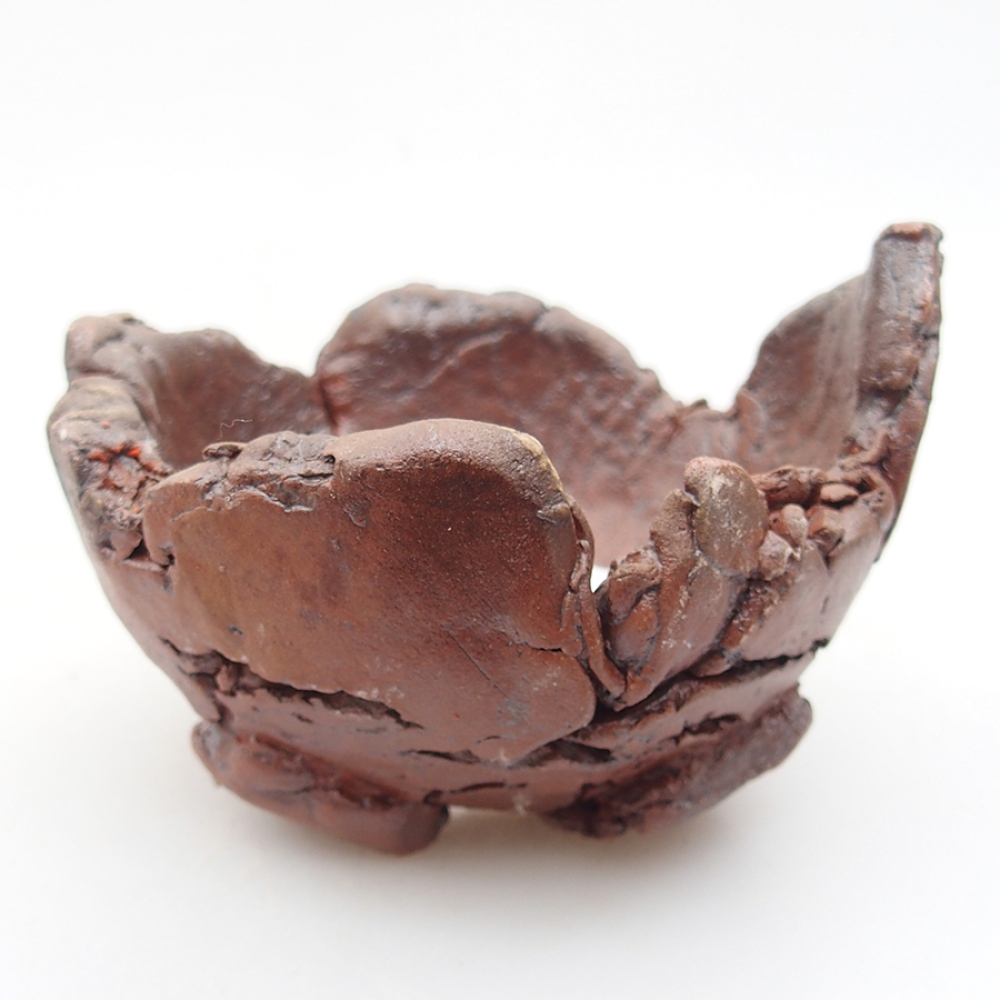 Ceramic shell 10 x 9 x 7 cm, color brown