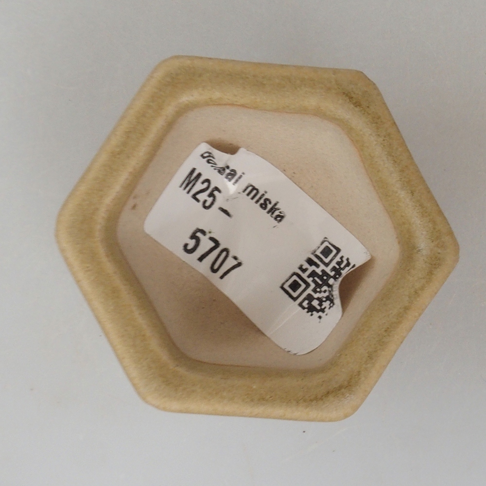 Mini bonsai bowl 5 x 4,5 x 3 cm, color brown