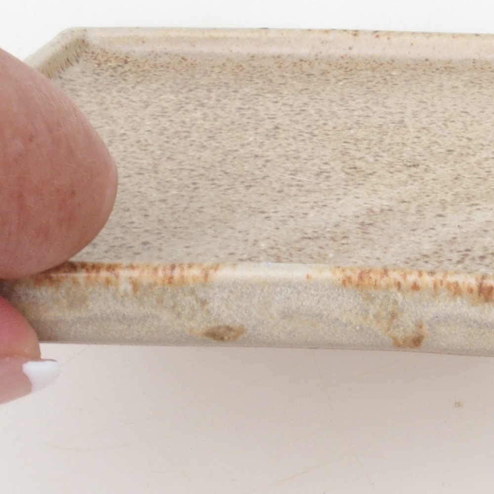 Bonsai bowl square L - 14 x 14 x 1 cm - beige
