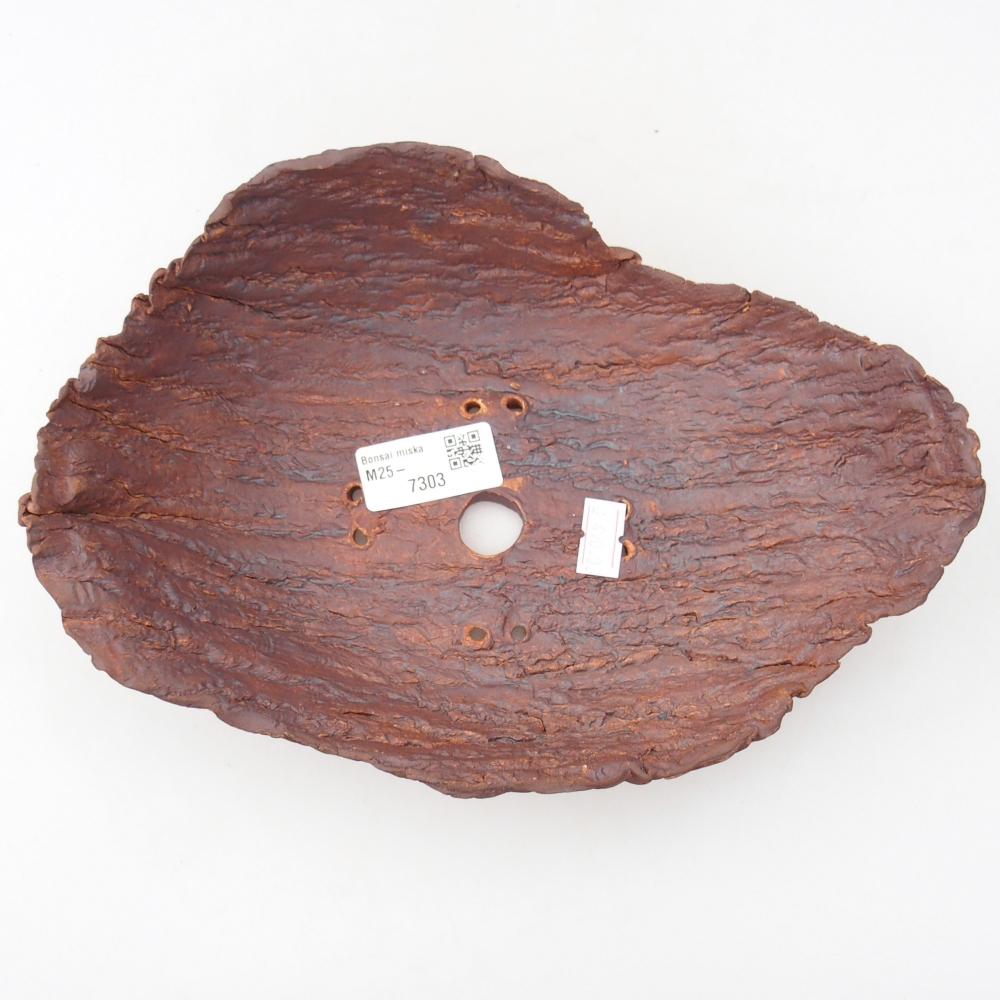 Ceramic Shell 24 x 17 x 7 cm , colour brown