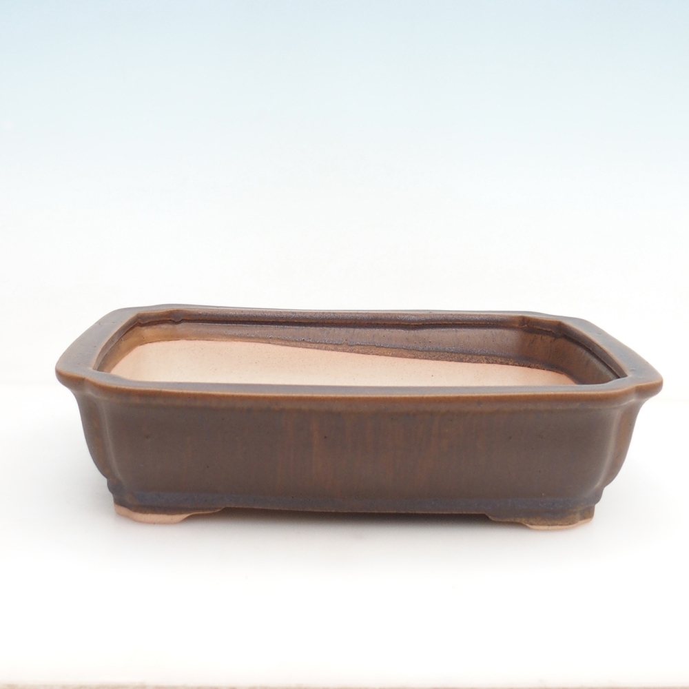 Bonsai bowl + saucer H20 - 26,5 x 21,5 x 6,5 cm. - brown
