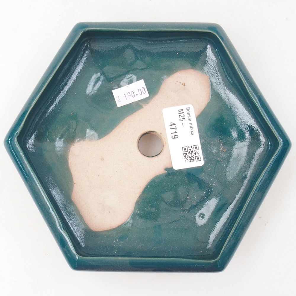 Ceramic bonsai bowl 17 x 15 x 4 cm, color green