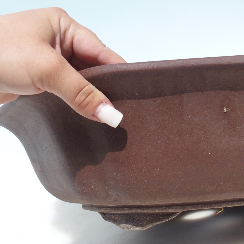 Bonsai bowl 39 x 39 x 11,5 cm birch brown