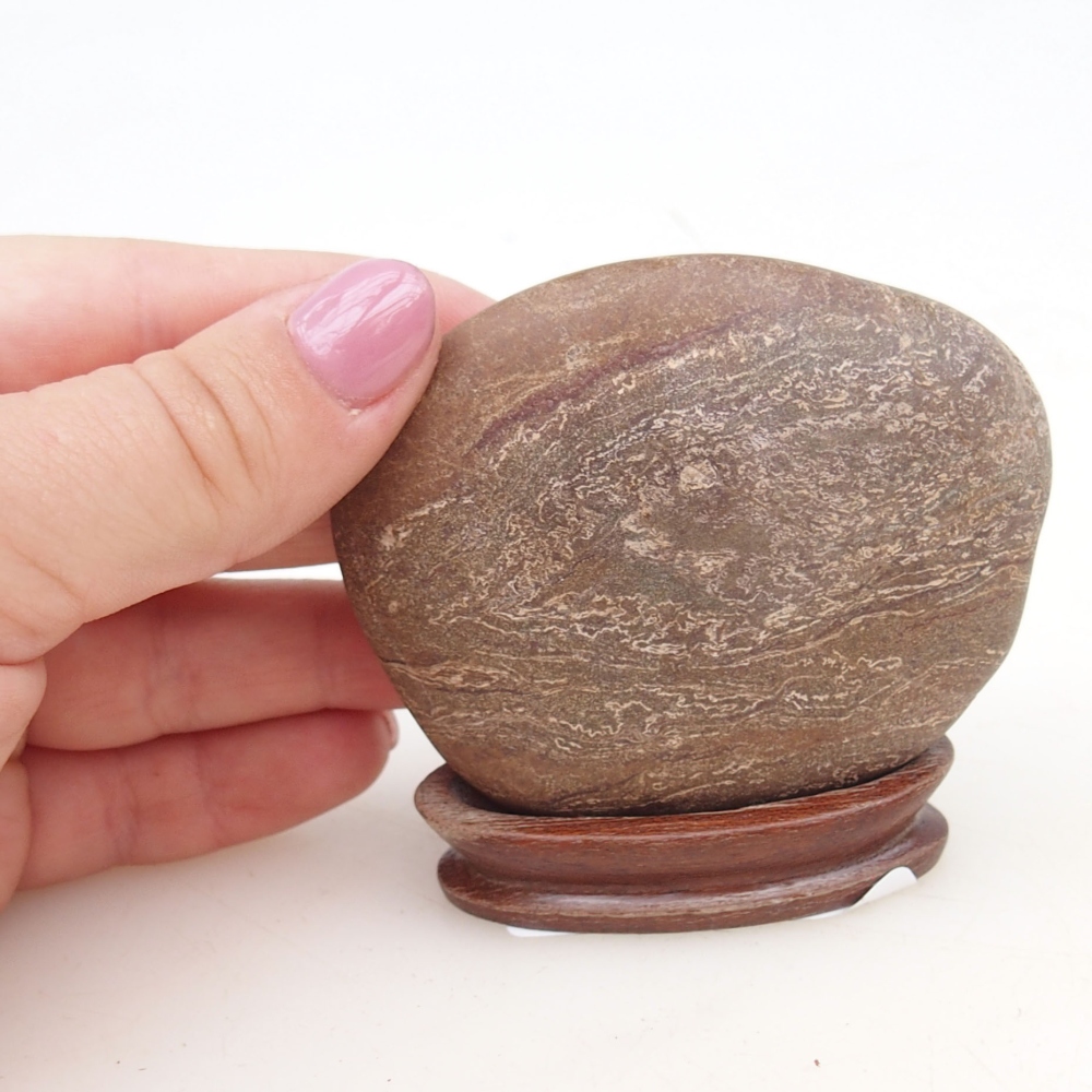 Suiseki - Stone with DAI (wooden pad)
